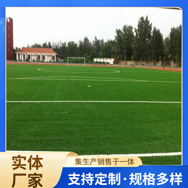 宜春市塑胶跑道人造草坪 - 哪里好